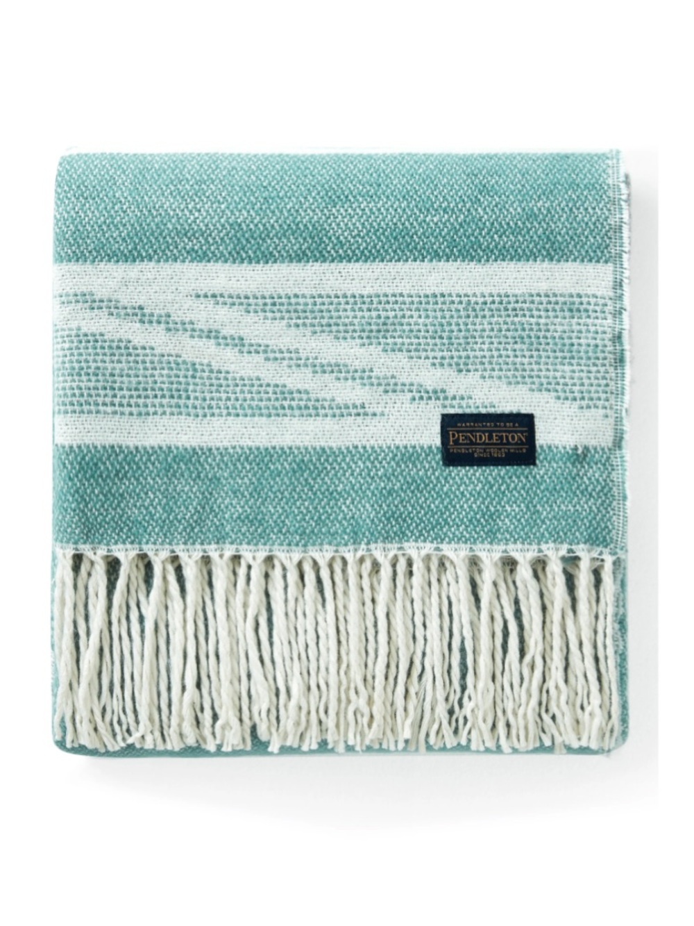 Pendleton Rio Canyon Fringe Throw Blanket in Oil Blue